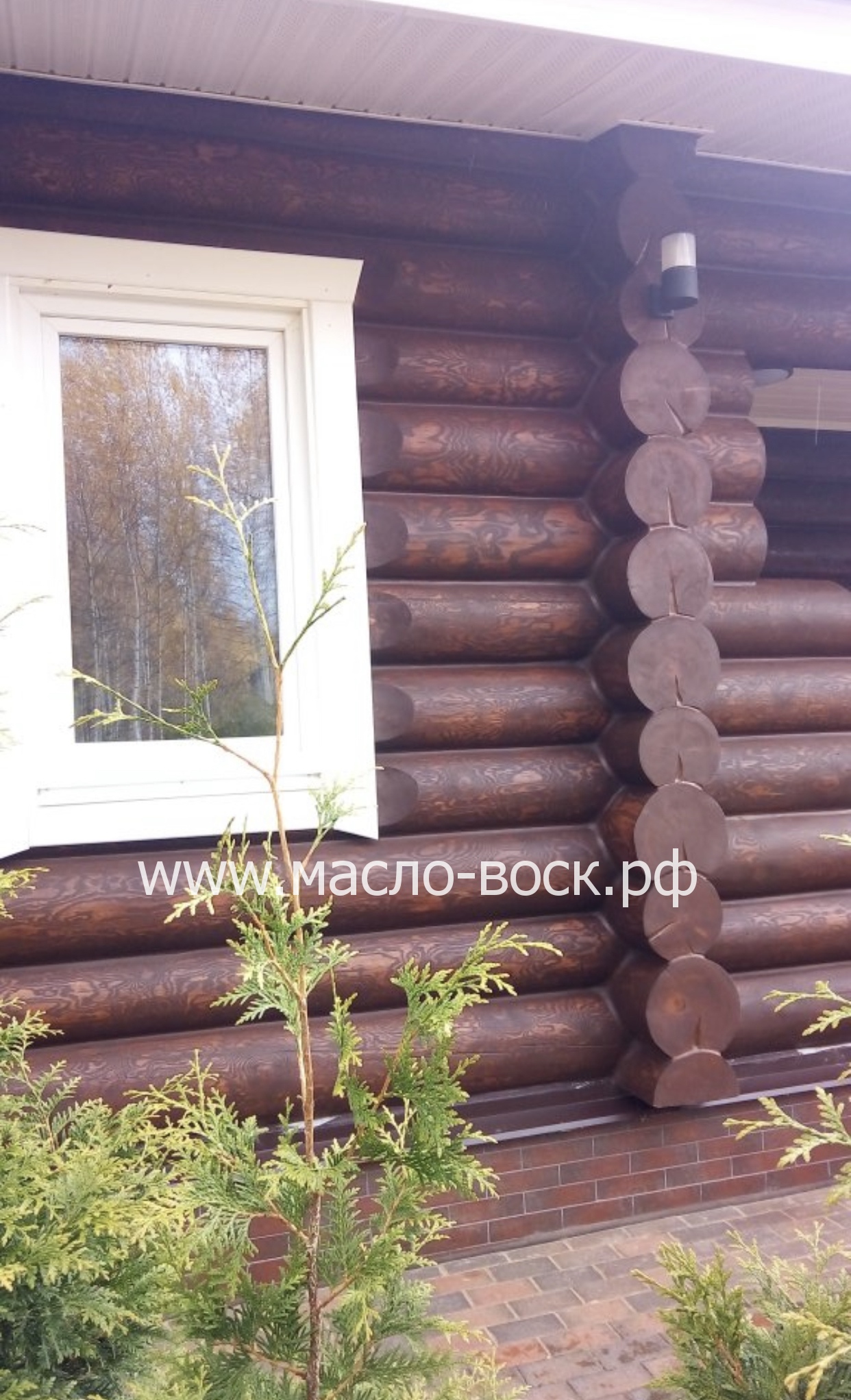 W.House, масло с карнаубским воском махагон коричневый