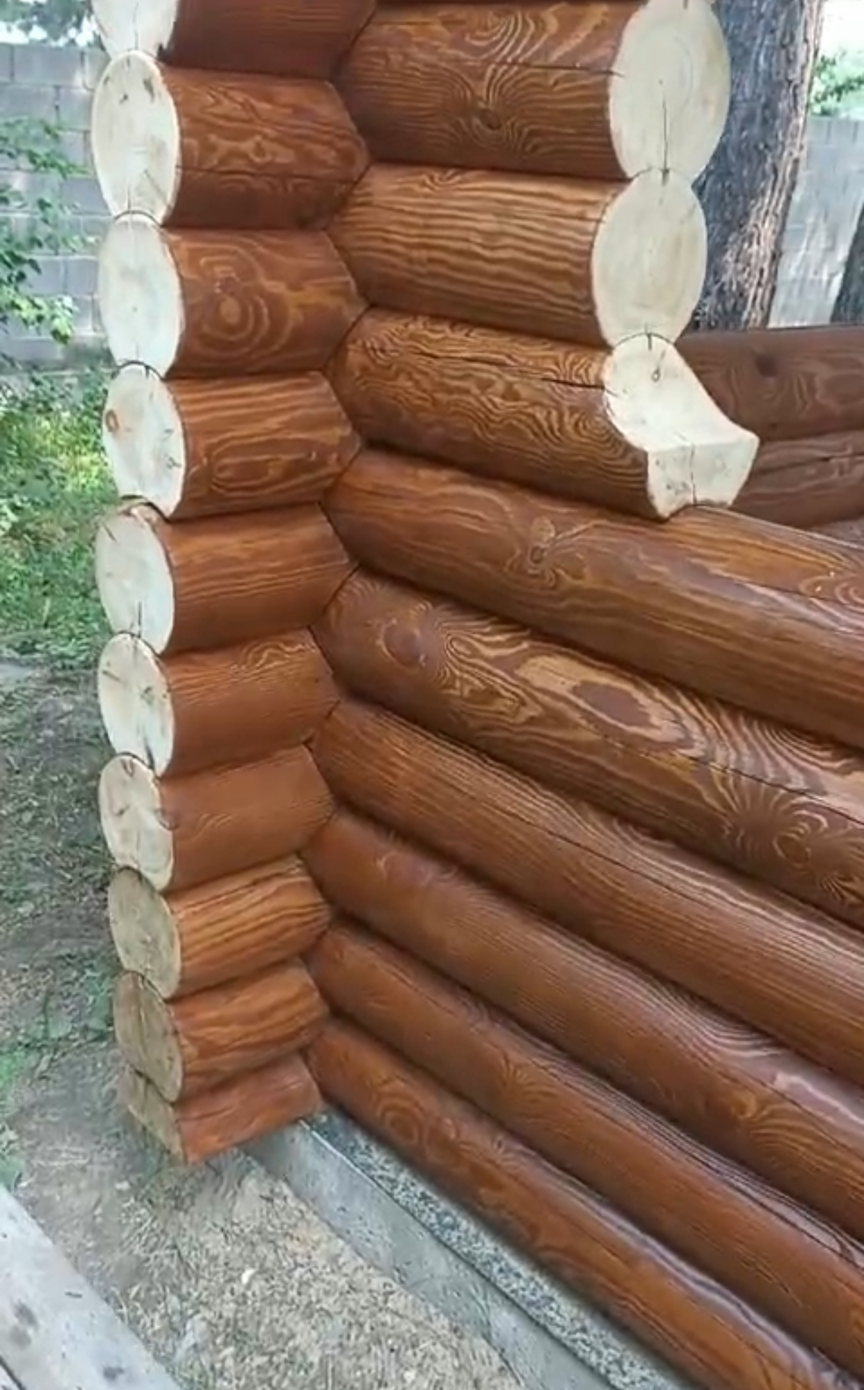 Темный орех