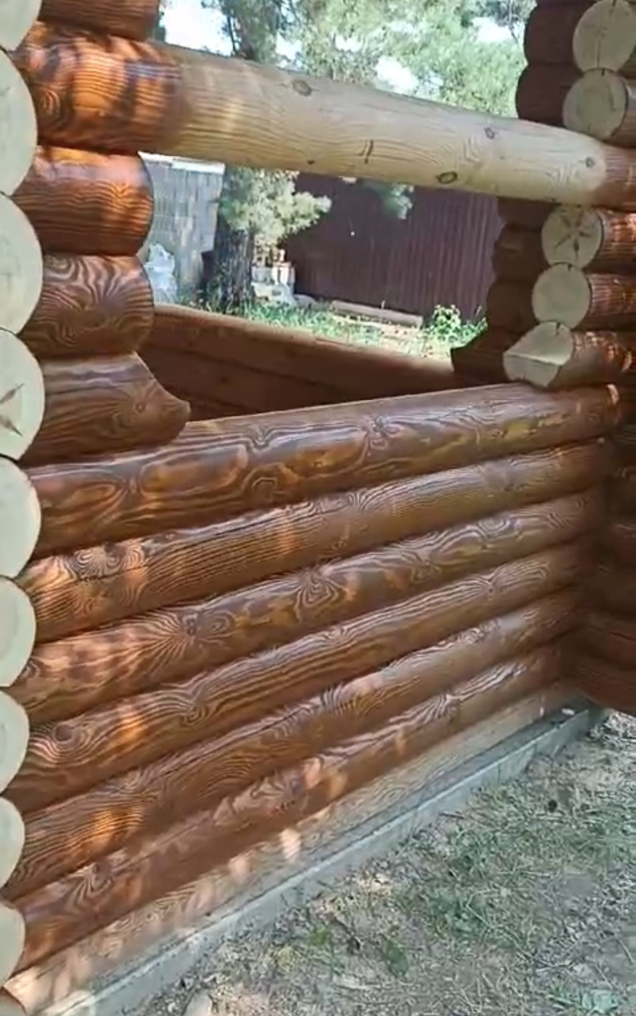 Темный орех